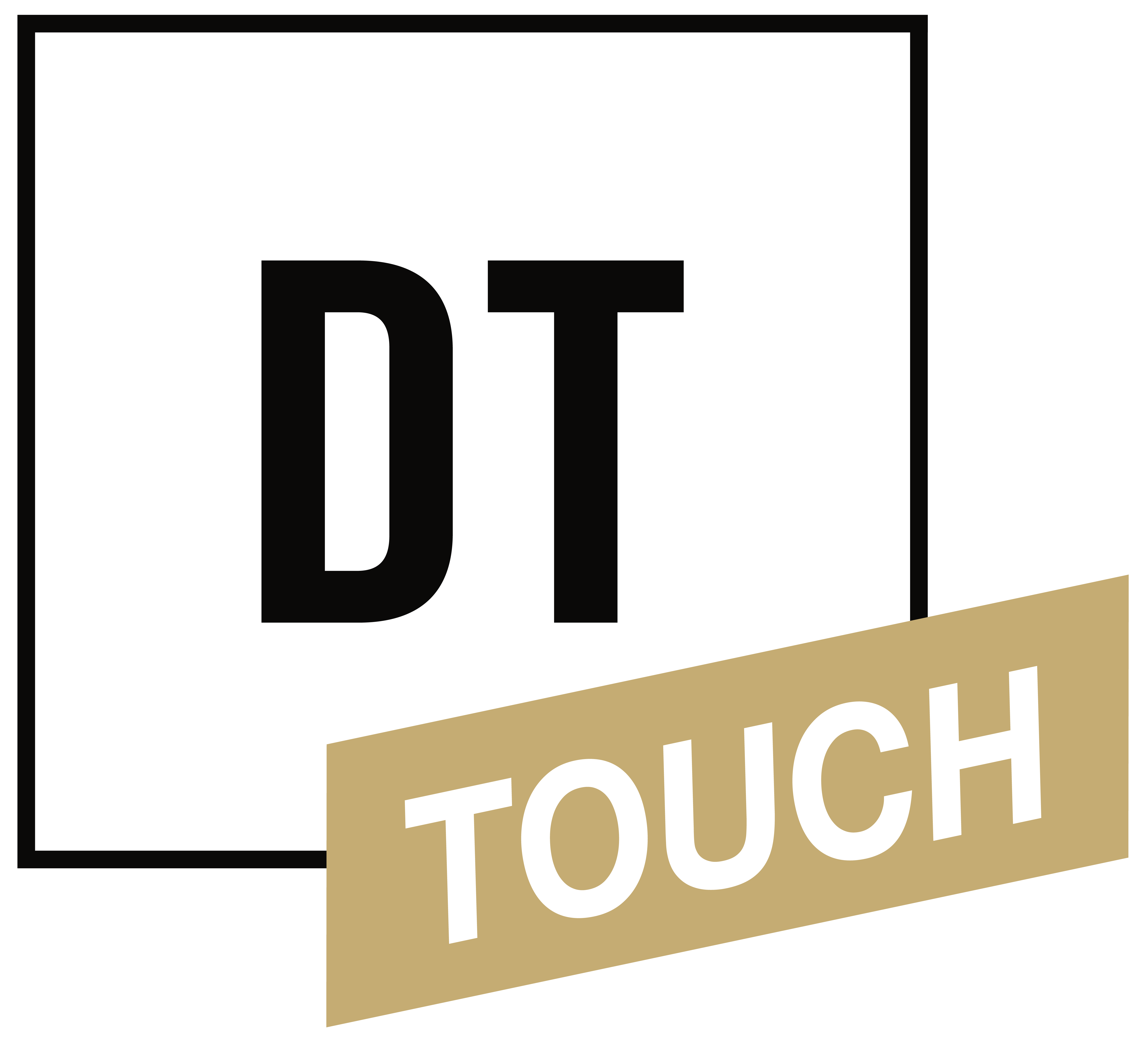 DT Touch Logo
